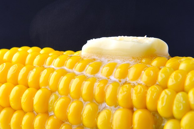corn on the cob.jpg