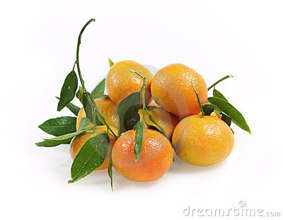 clementine tree.png