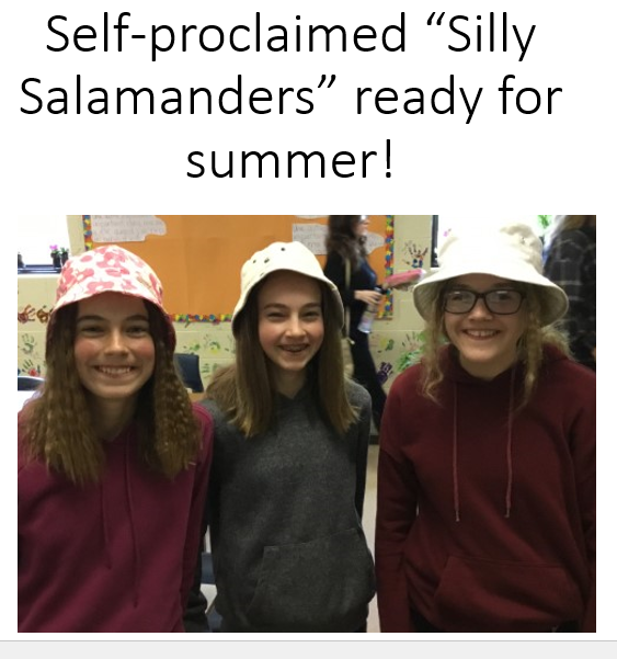 silly salamanders.PNG